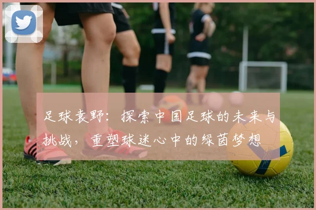 足球袁野：探索中国足球的未来与挑战，重塑球迷心中的绿茵梦想
