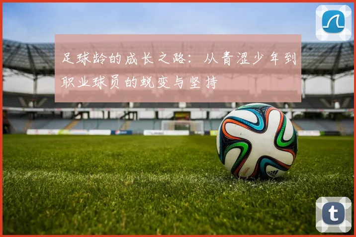 足球龄的成长之路：从青涩少年到职业球员的蜕变与坚持