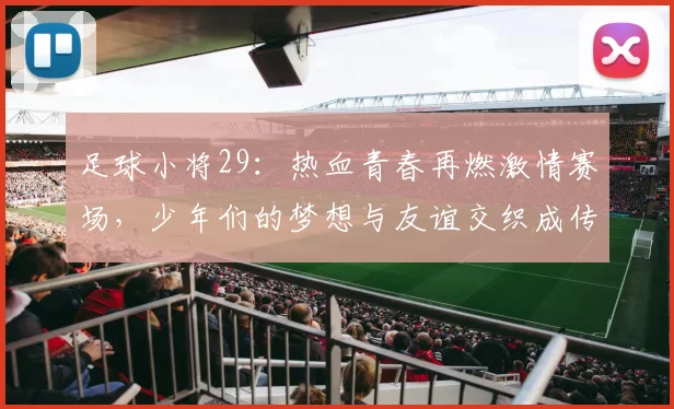 足球小将29：热血青春再燃激情赛场，少年们的梦想与友谊交织成传奇