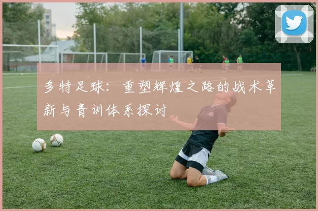 多特足球：重塑辉煌之路的战术革新与青训体系探讨